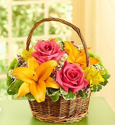 Fields of Europe in a Basket Davenport Florist - Same Day Flower Delivery - Flower Power 